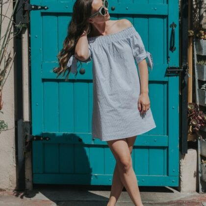 Bardot Chambray Day Dress